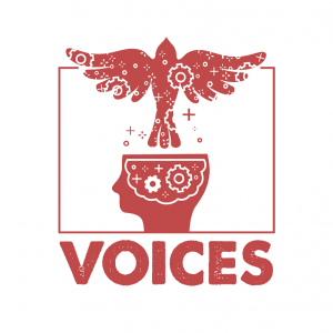 RYCO projekat “VOICES”